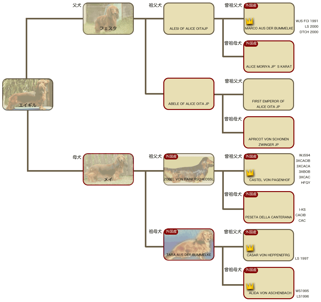 エイギルの系統図